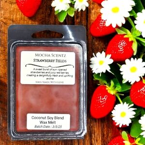 Handmade 2oz Strawberry Fields Coconut/Soy Wax Melt - Red